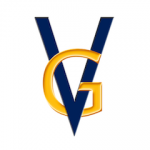 Vicgo-logo